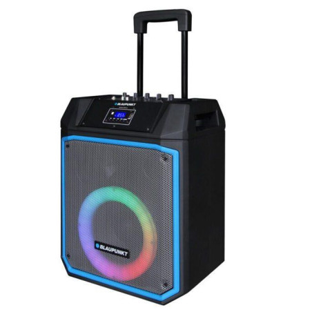 Głośnik Blaupunkt MB02 600W